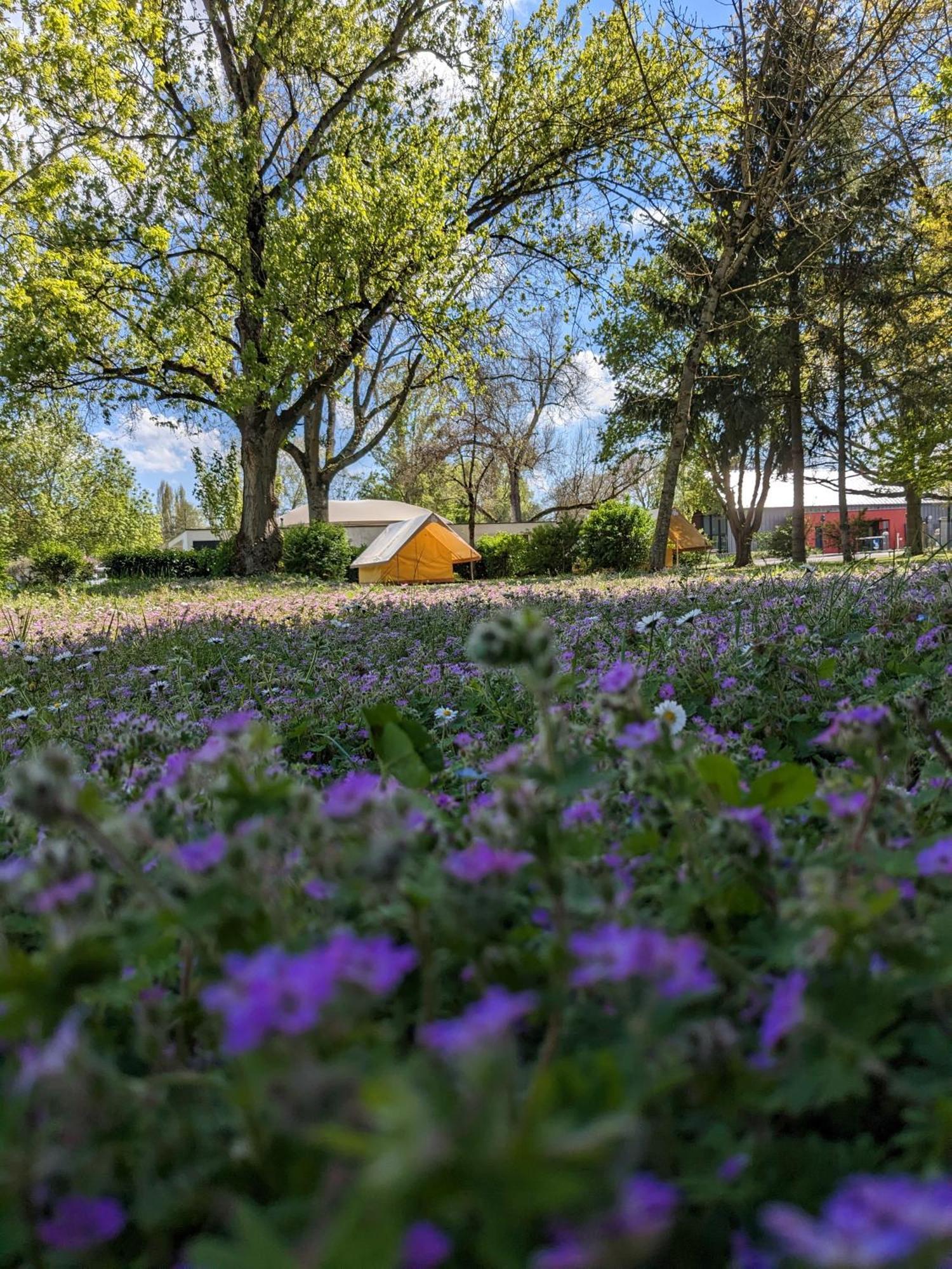 Camping Onlycamp Tours Val De Loire Saint-Avertin Dış mekan fotoğraf